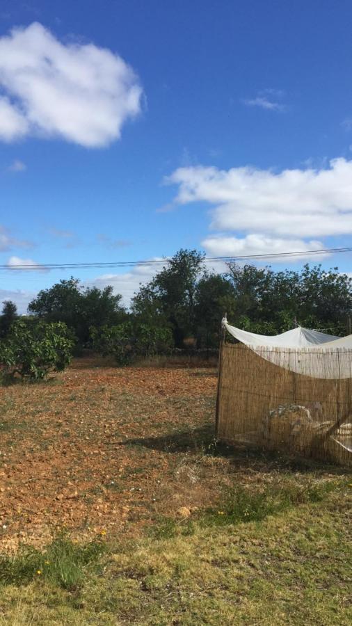 Solar Da Cotovia Casa de Férias *