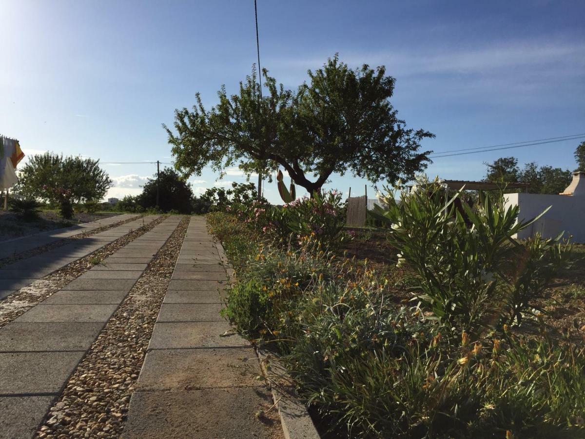 Solar Da Cotovia Casa de Férias